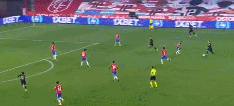 开拓者伤病报告：克林根和阿夫迪亚可以出战，罗威和默里缺席