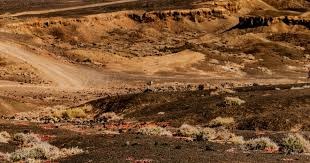 爱德华兹联手欧文！从哈登加兰再到莫兰特，华子指定自己冲冠搭档